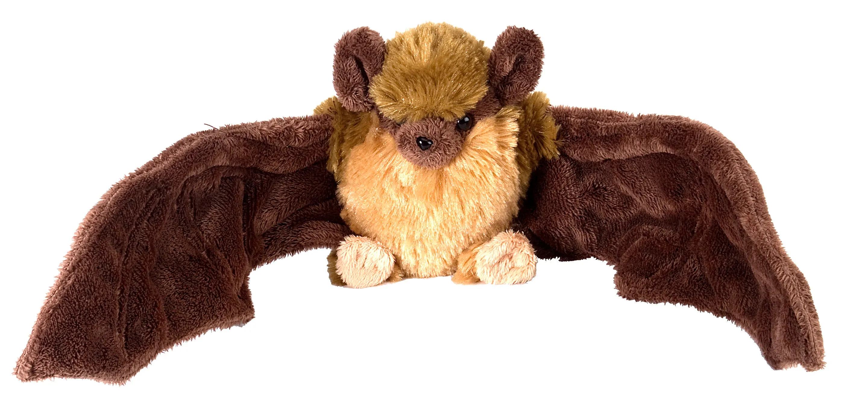 Adopt a bat | Symbolic adoptions