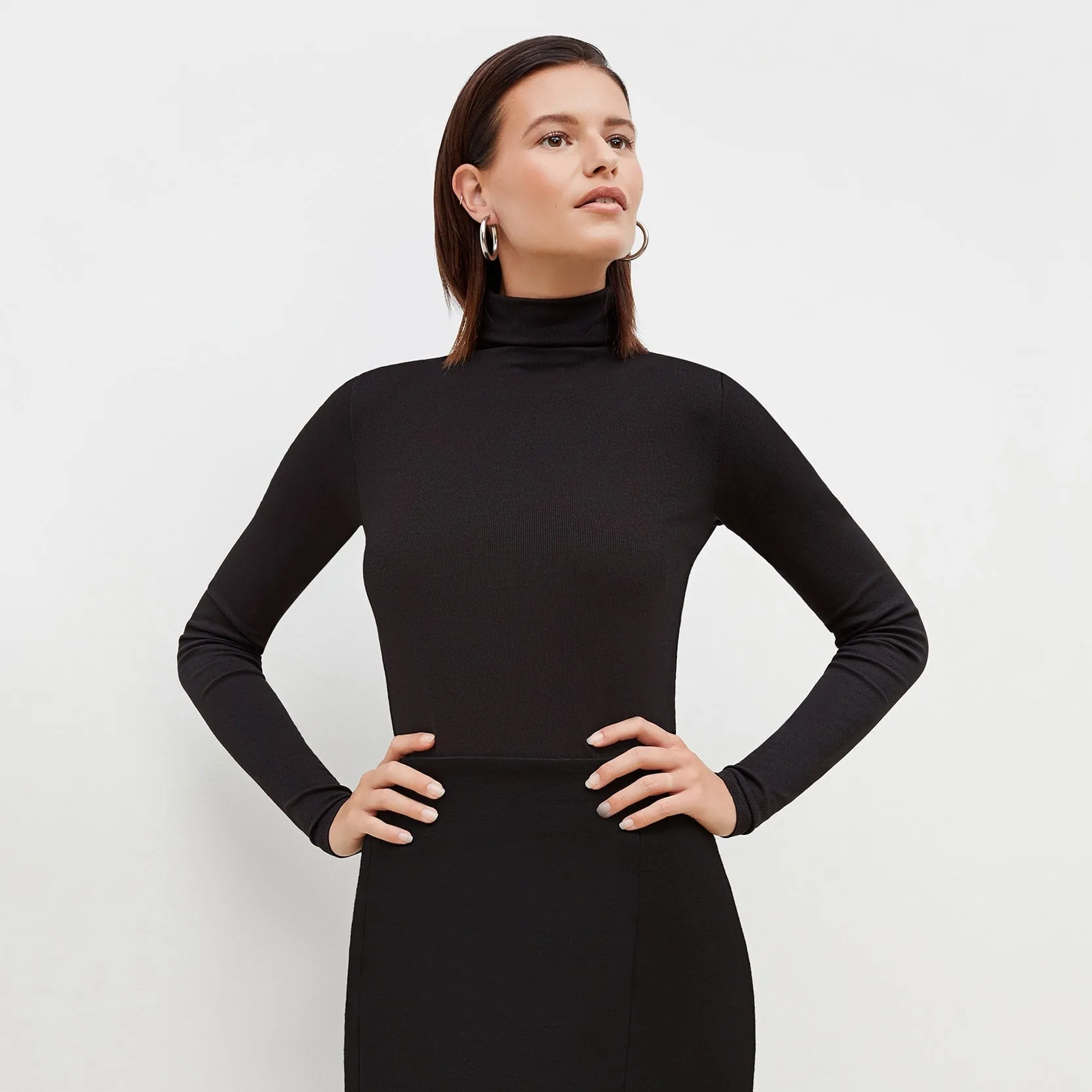 Axam Turtleneck - Ribbed Pima Cotton :: Black