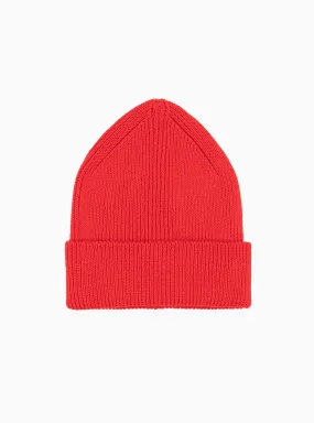 Beanie Cherry