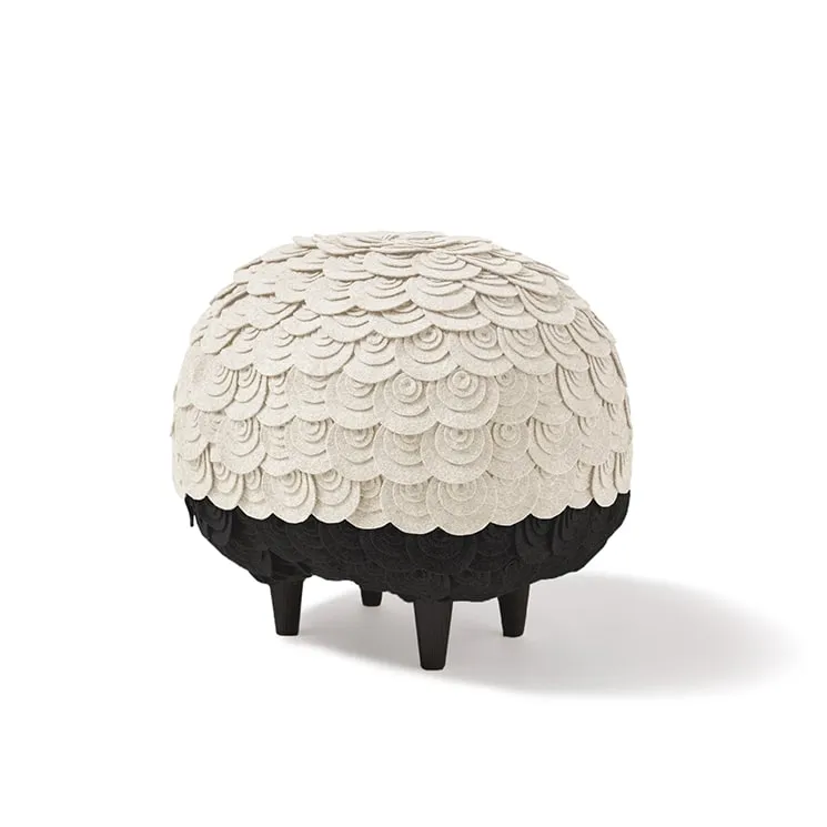 Blacknose - Sheep Stool