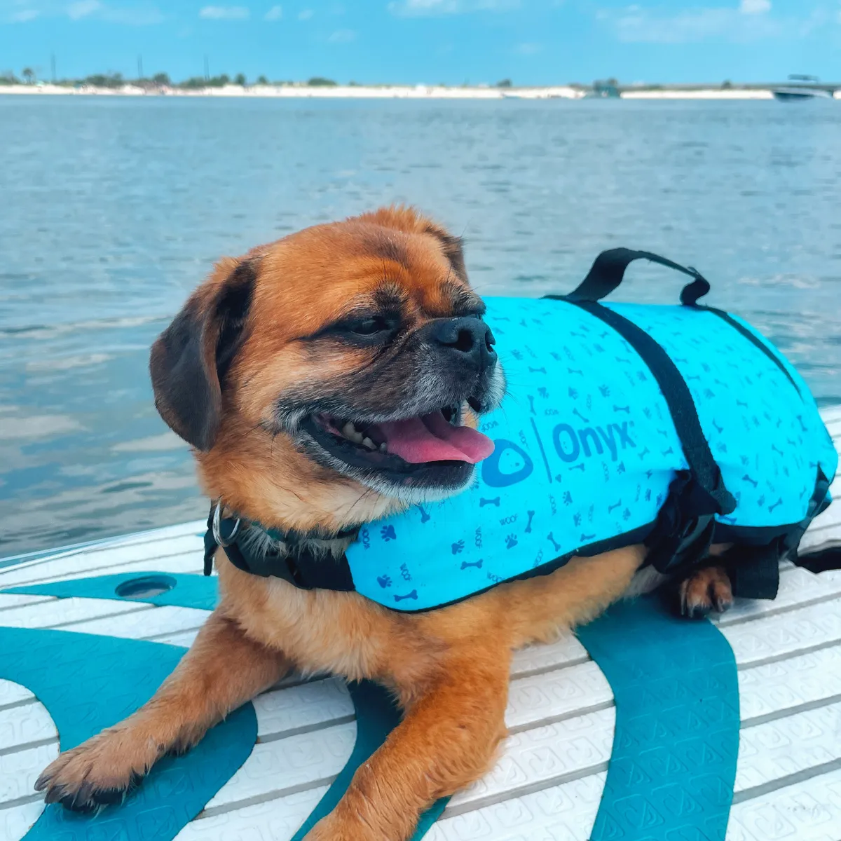 Onyx Dog Life Vest