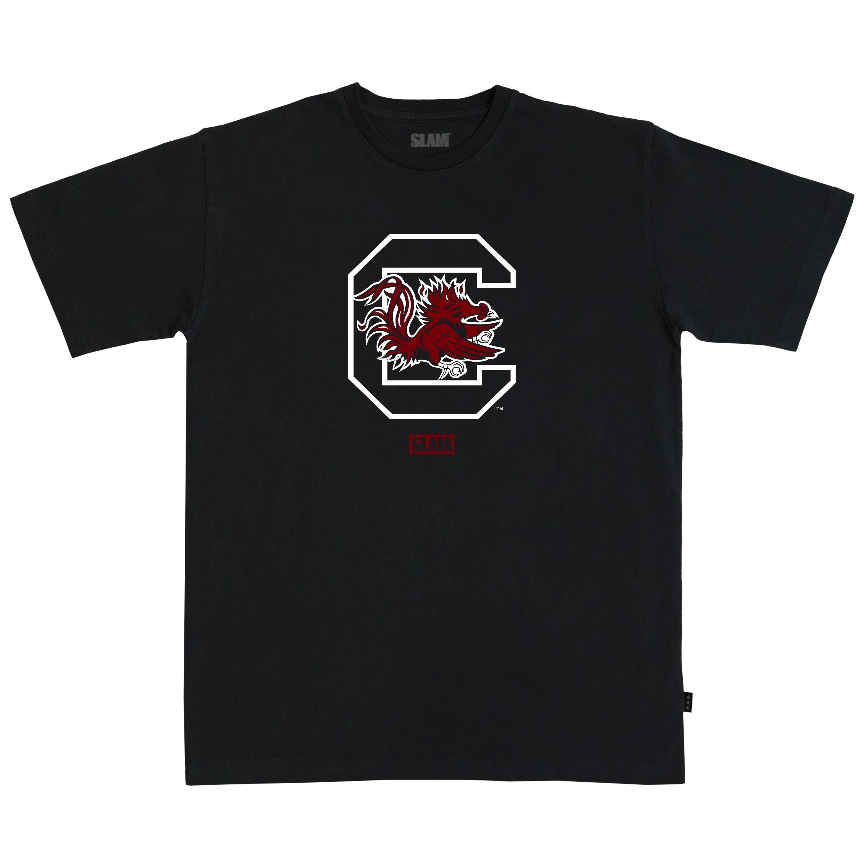 South Carolina Respect the Game Heavy Tee