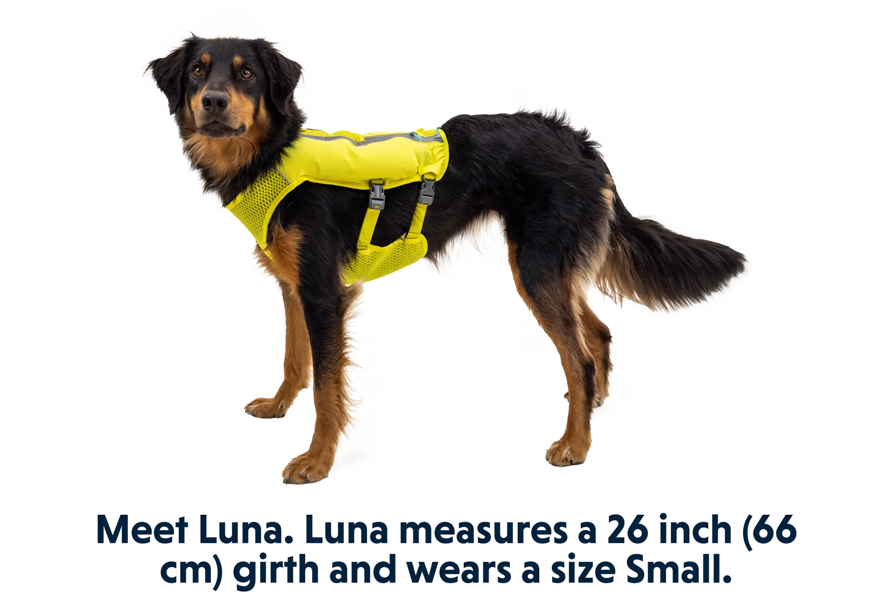 Trail Runner™ Dog Running Vest