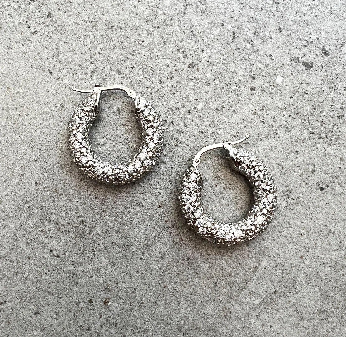 Vivid Earrings, Silver