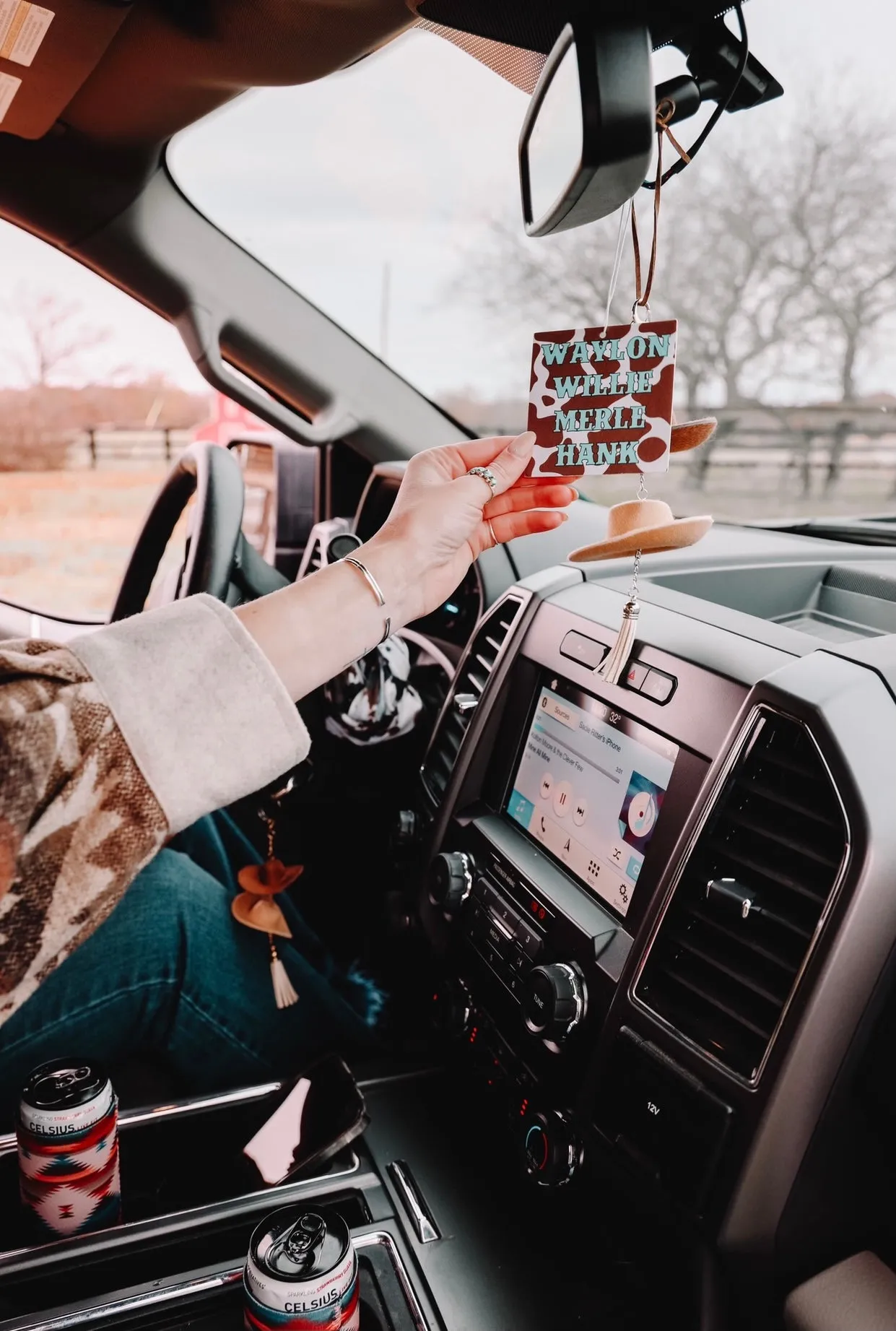 Waylon Willie and The Boys Air Freshener